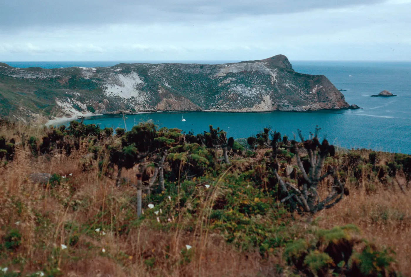 Cuyler Harbor view, San Miguel Island