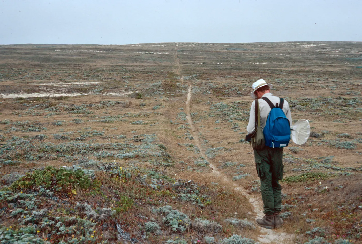 Scott Miller, trail between NOAA Station and Dry Lake, San Miguel Island