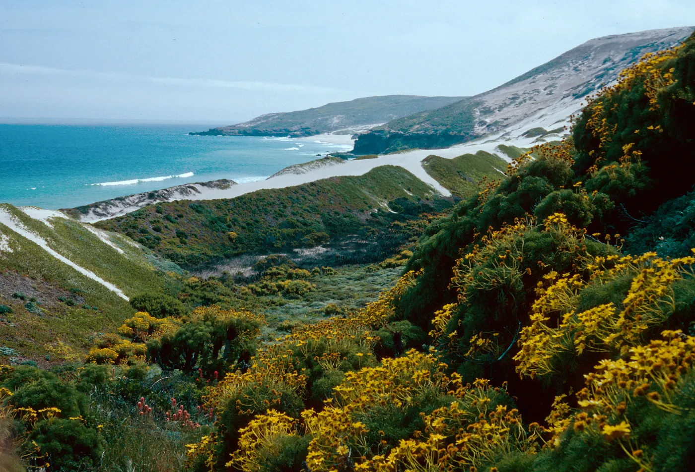 Cuyler Harbor, just East of Cañada Del Mar, San Miguel Island