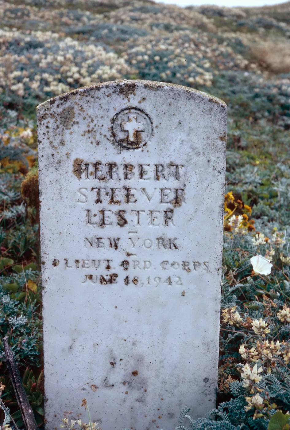 Lester grave, San Miguel Island