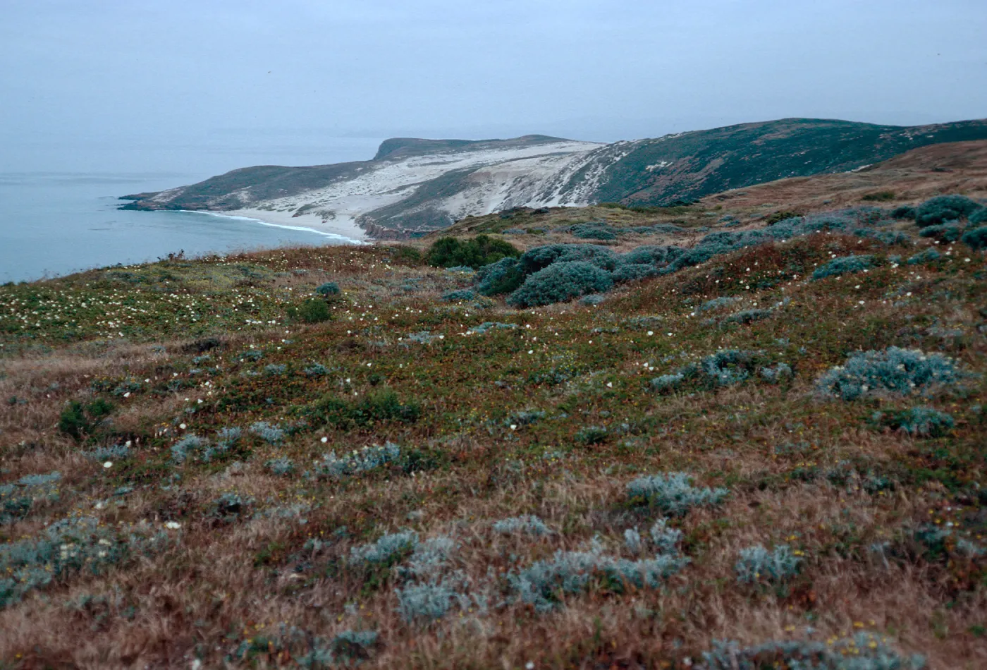 Cuyler Harbor, from slopes, West of Cañada Del Mar, San Miguel Island