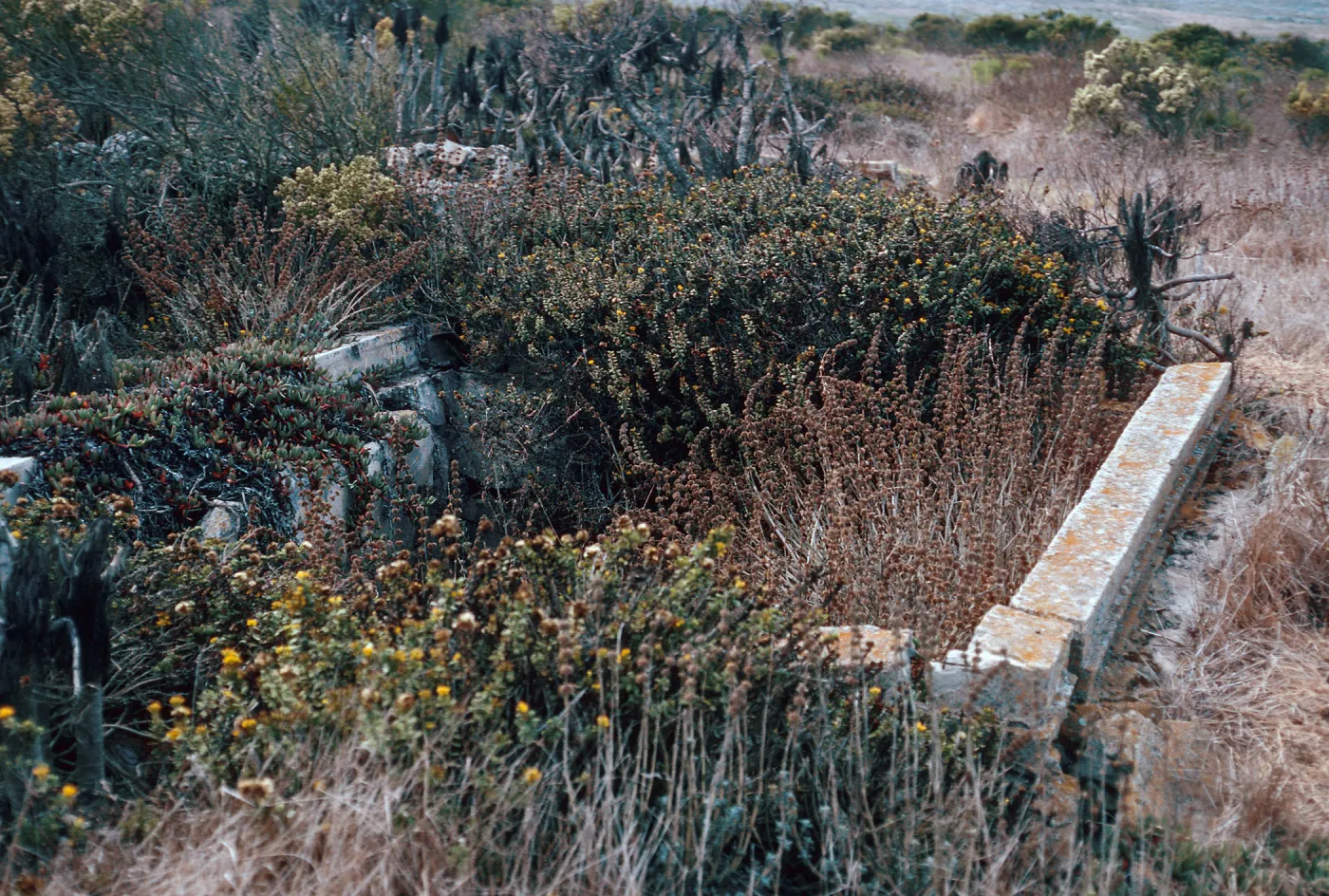old cistern, Lester Ranch ruins, San Miguel Island