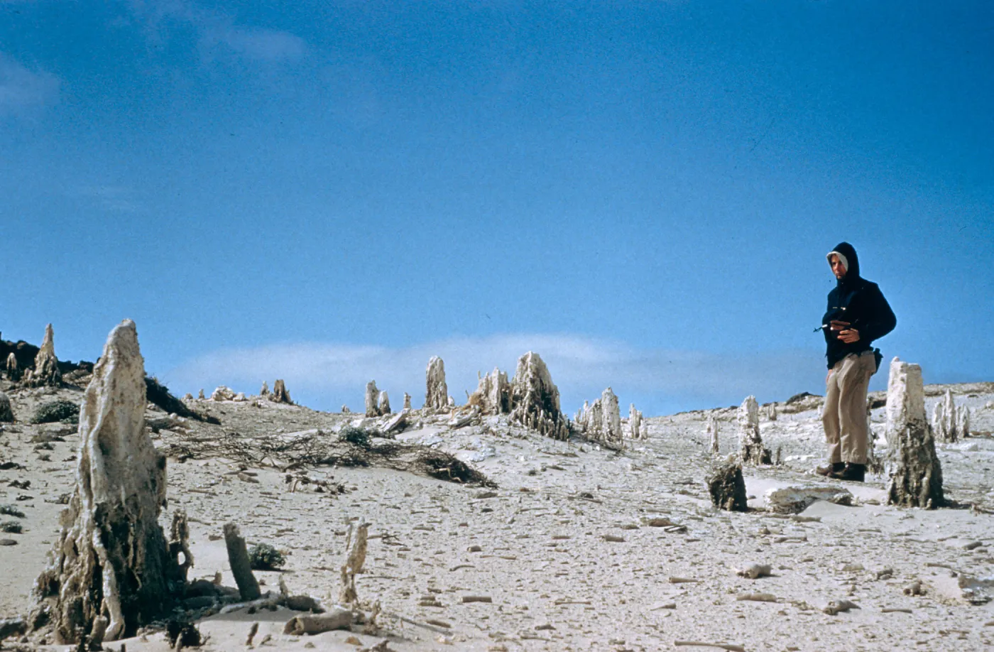 caliche, San Miguel Island, Slide is duplicate