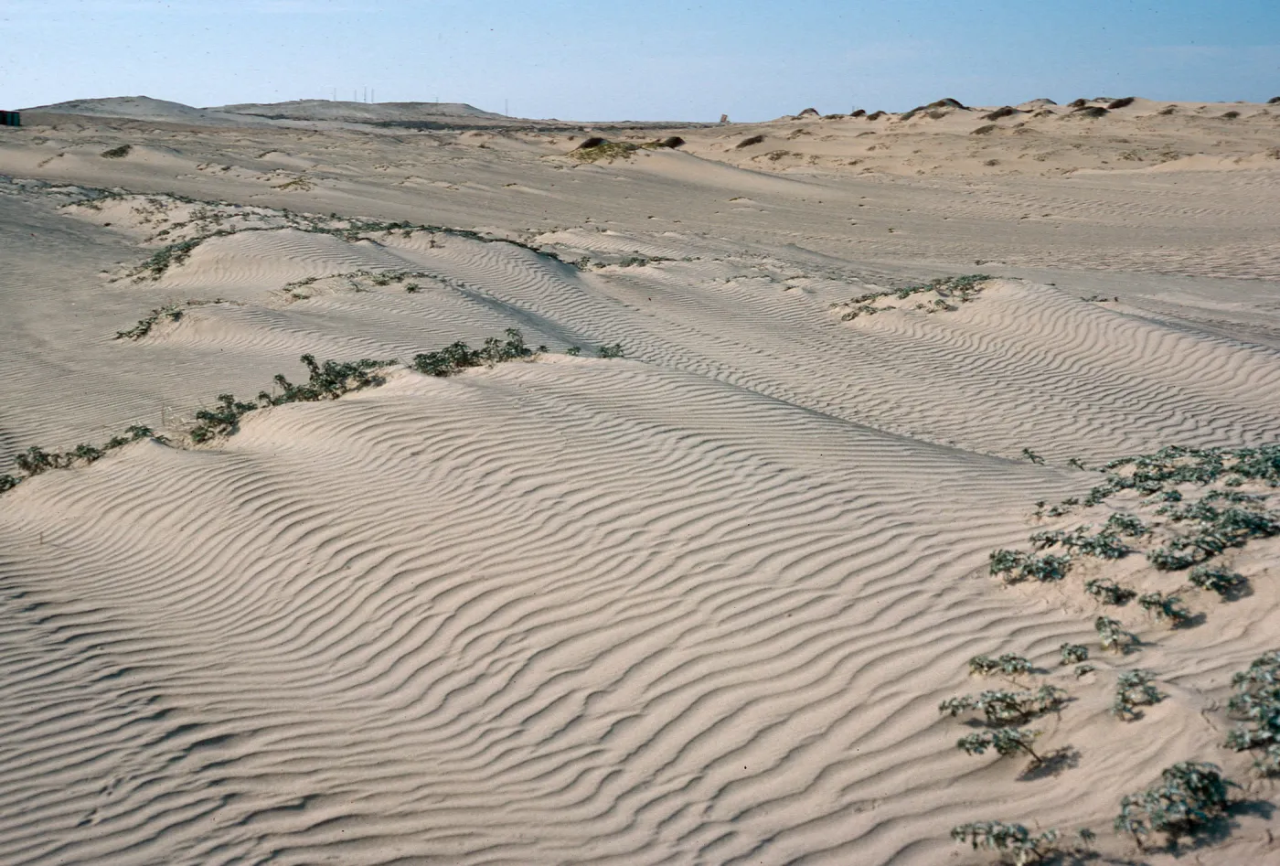 Southwest part of island, San Nicolas Island