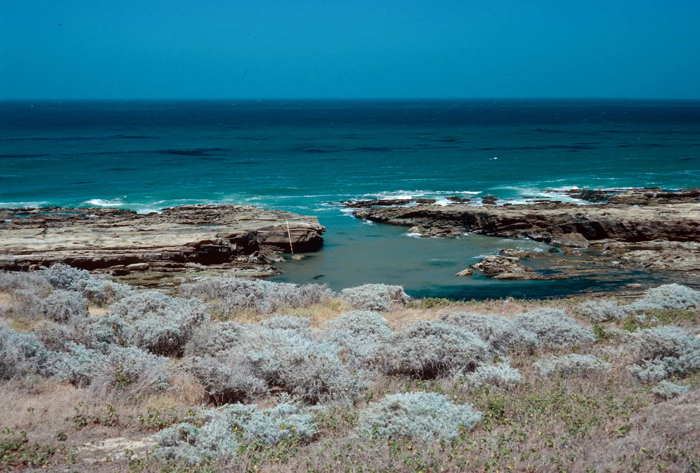 Corral Harbor, San Nicolas Island