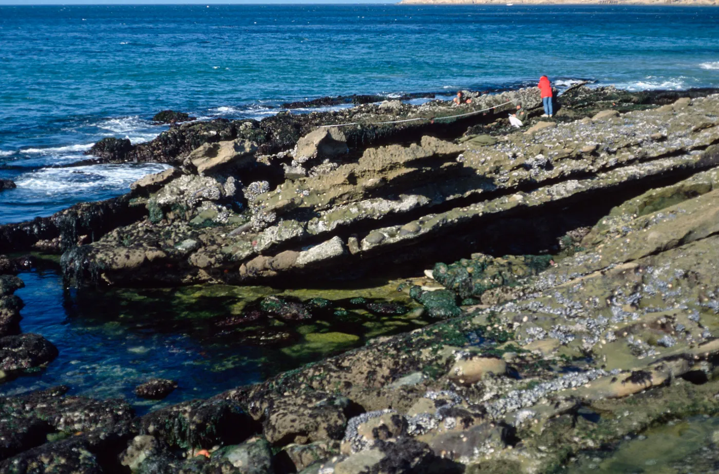 tide pools, NPS, Johnsons Lee site, Santa Rosa Island