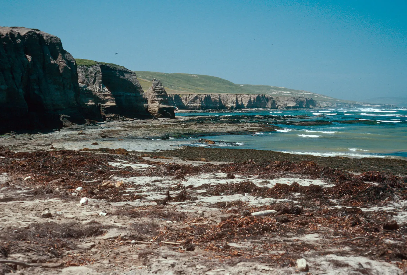 coastline, just West of Tecolote Canyon, Santa Rosa Island