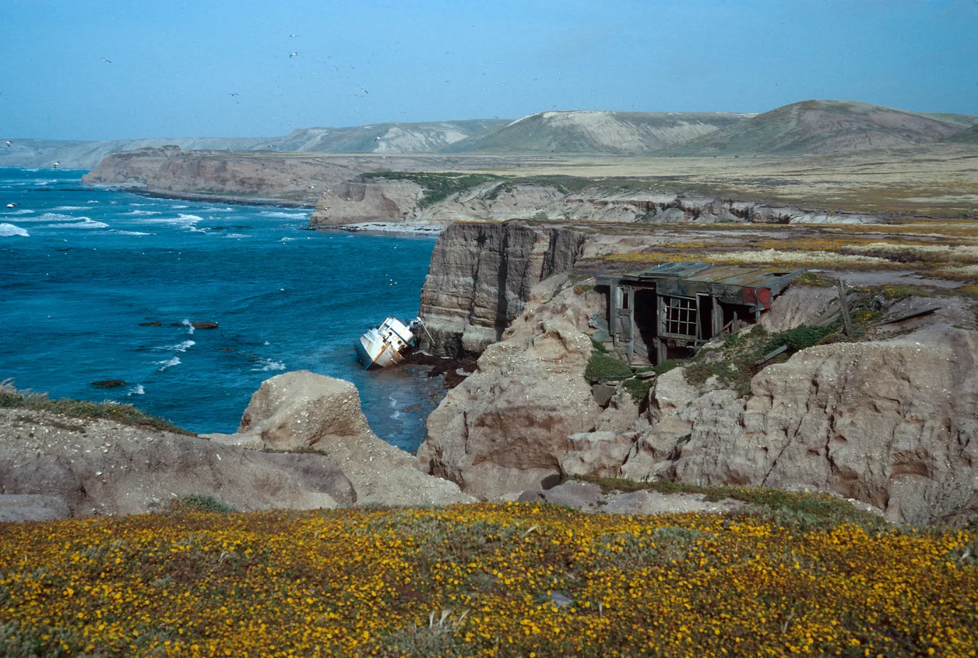 wreck of Pleiades, Orrs Camp, Santa Rosa Island