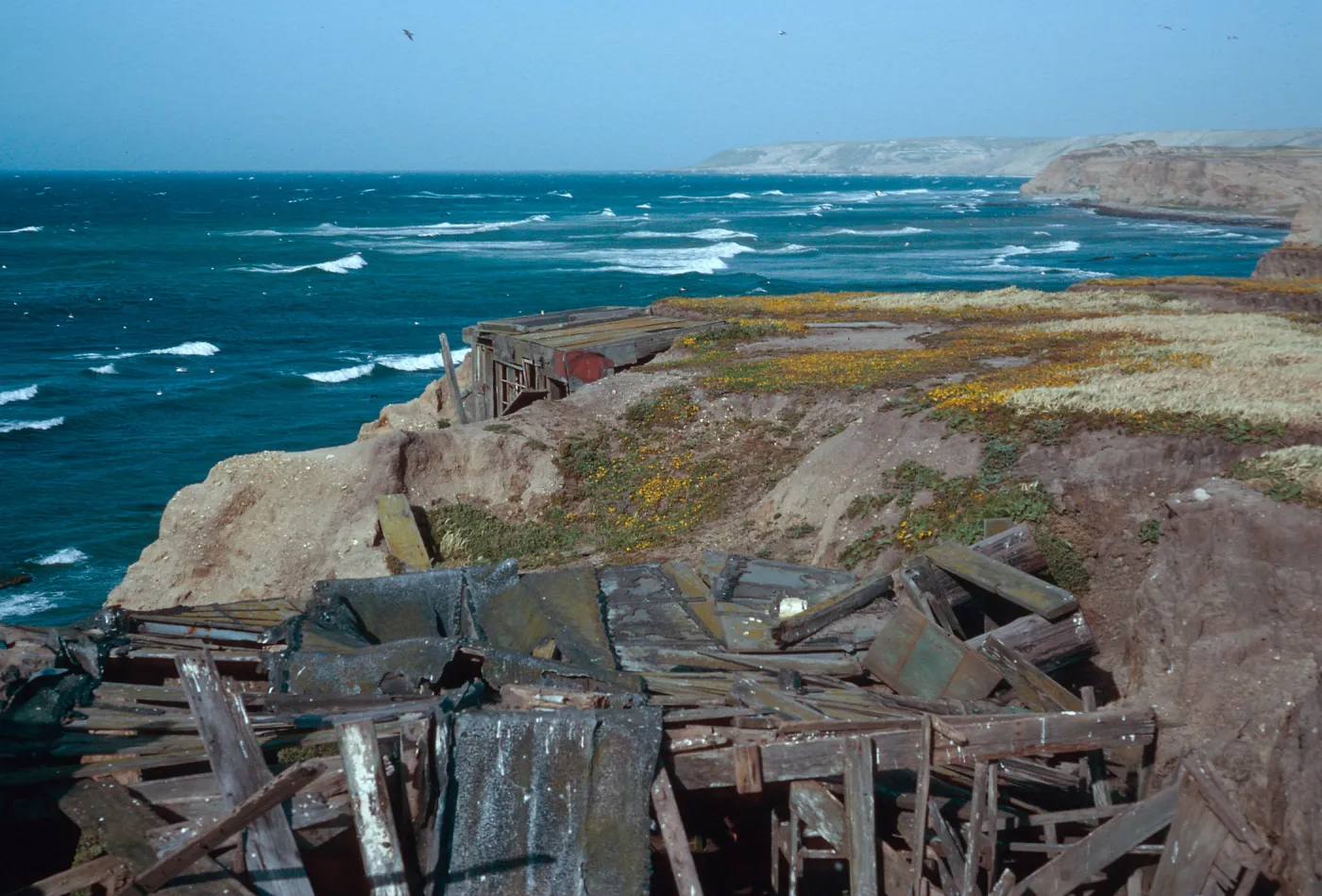 Orrs Camp, Santa Rosa Island