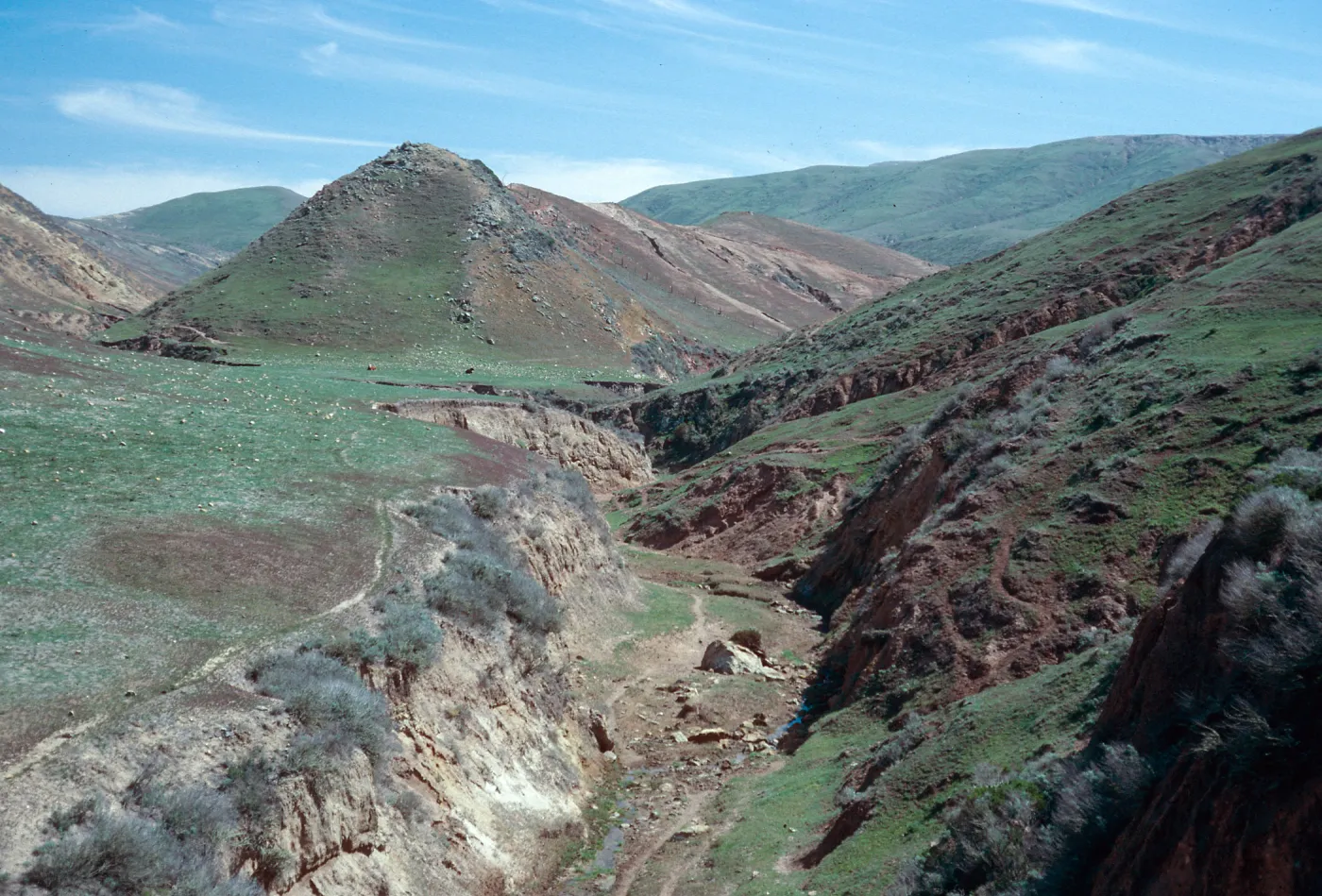 Tecolote Canyon, Santa Rosa Island