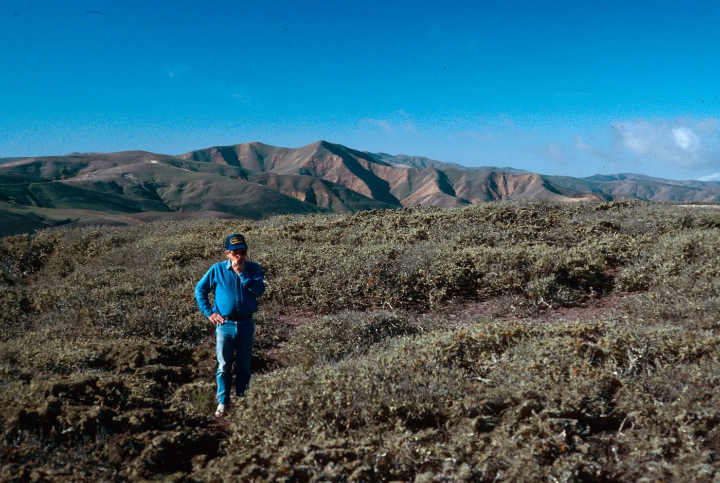 Bill, low chaparral Peak 1892, Santa Rosa Island