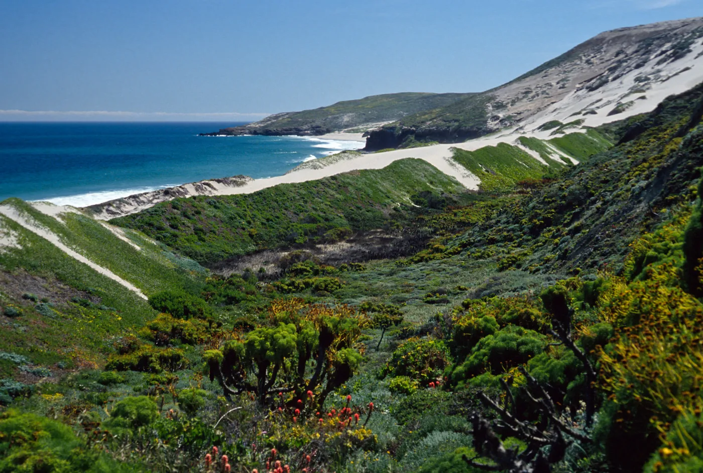 Cuyler Harbor, mouth of CaÃ±ada Del Mar, San Miguel Island