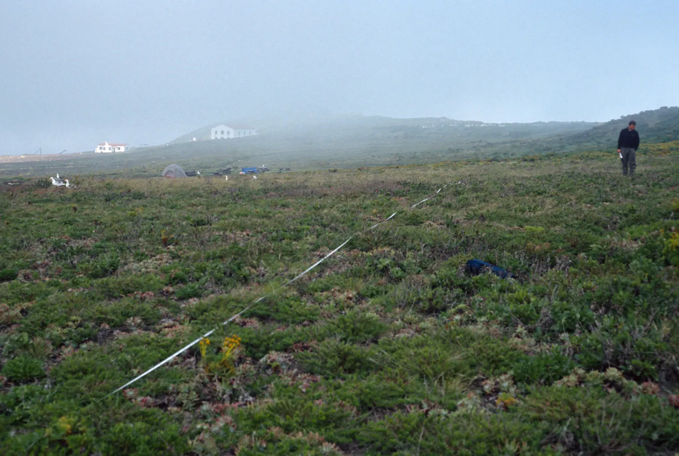 Transect #4, looking East, East Anacapa Island