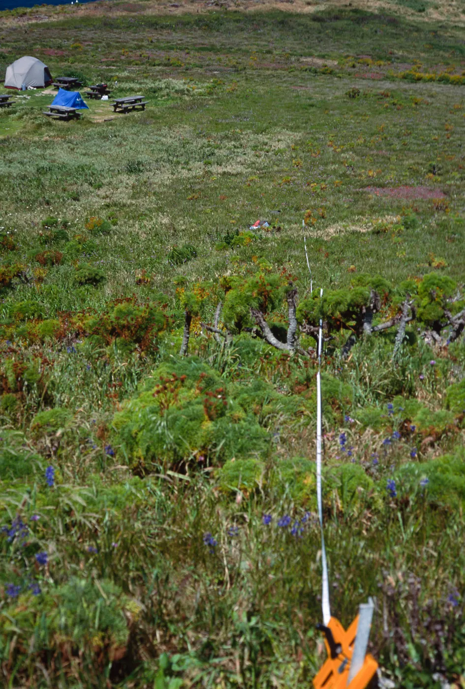 Transect #3, looking North, East Anacapa Island