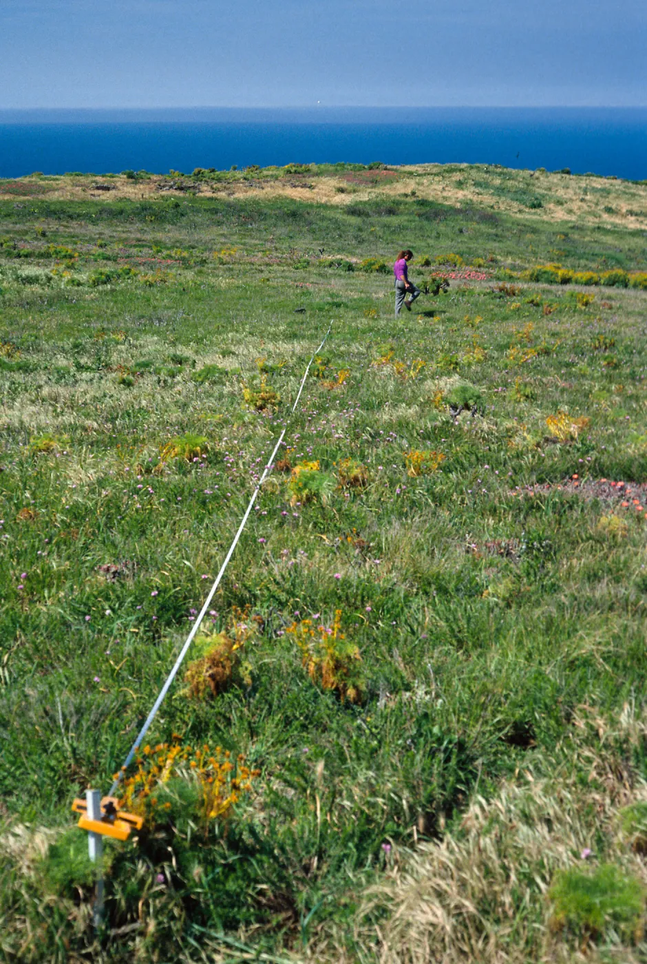Transect #2, looking North, East Anacapa Island