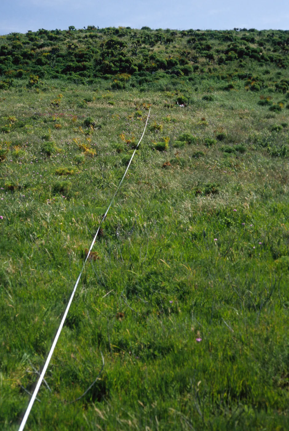 Transect #2, looking South, East Anacapa Island