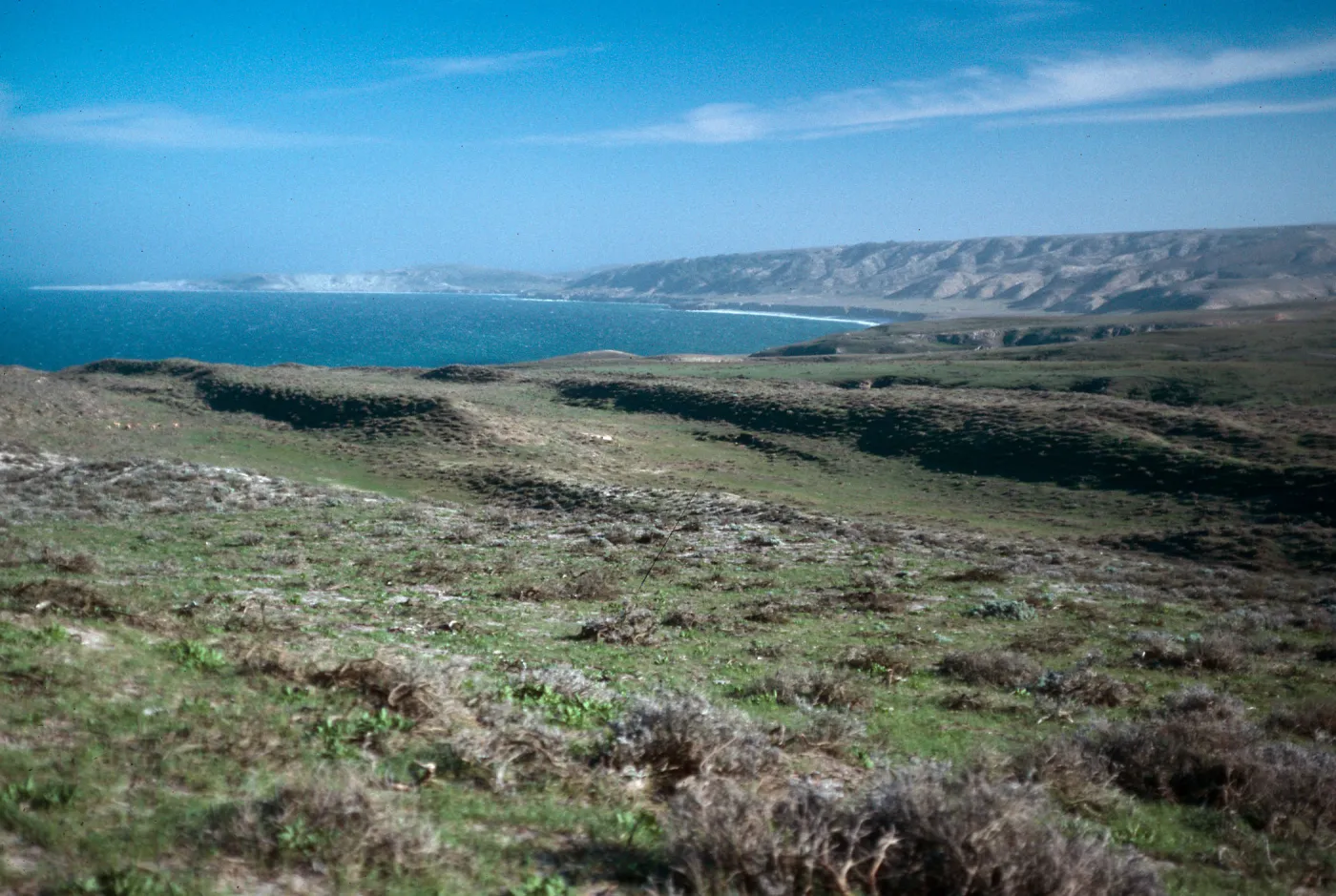 Beechers Bay, from Carrington pasture, Santa Rosa Island