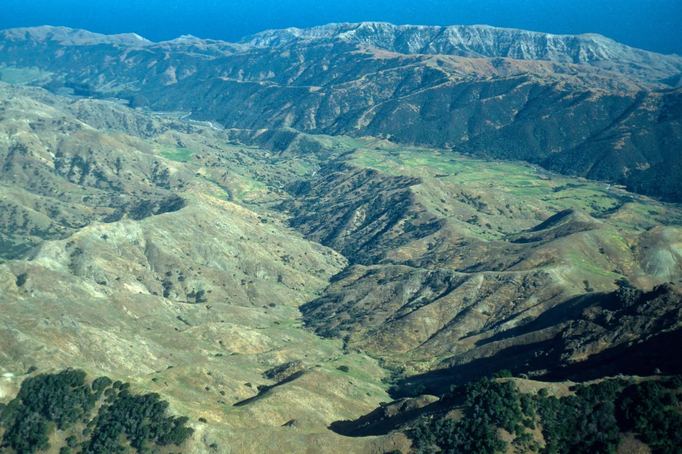 looking East in valley, East of Picacho Diablo, Santa Cruz Island