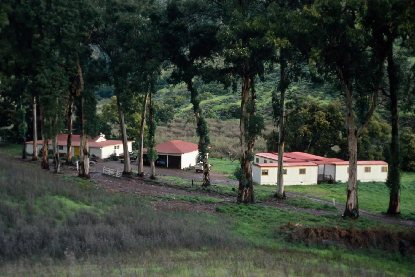 UC Field Station, Santa Cruz Island