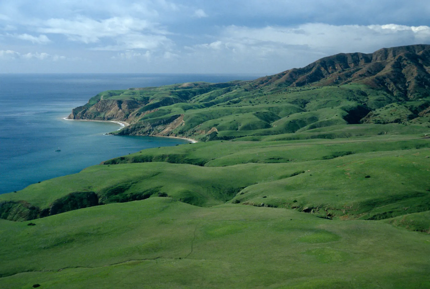 Southeast end, Smugglers airstrip, Santa Cruz Island