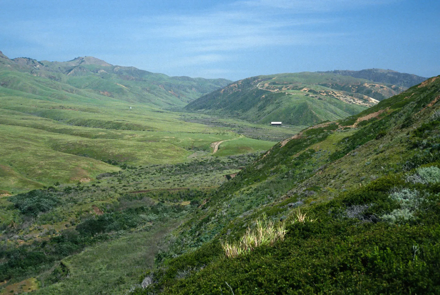 view of Christy barn, Santa Cruz Island