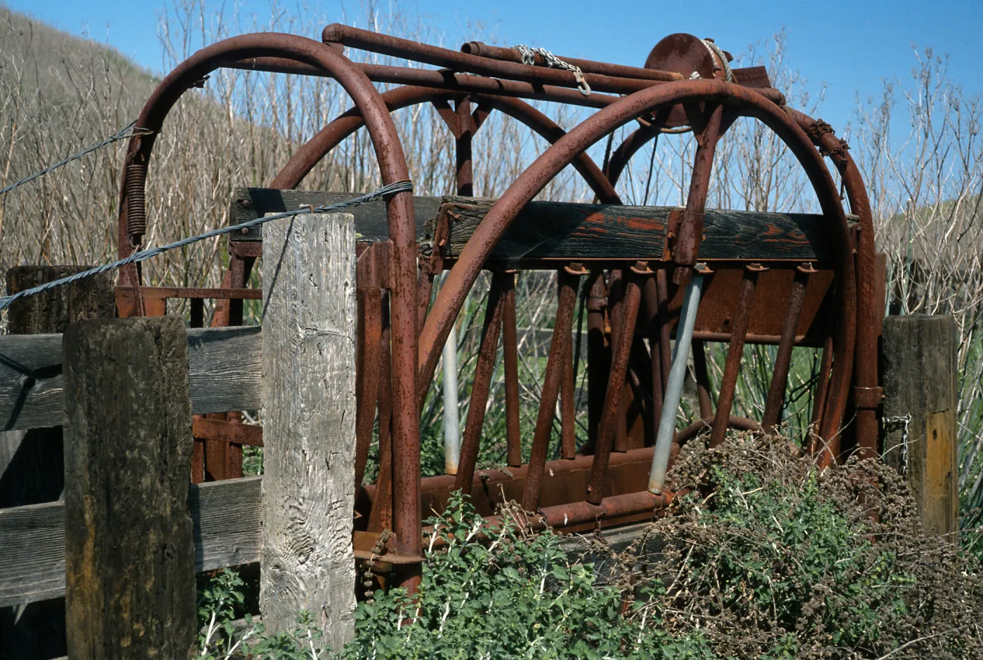 corrals, Campo Del Norte, Santa Cruz Island