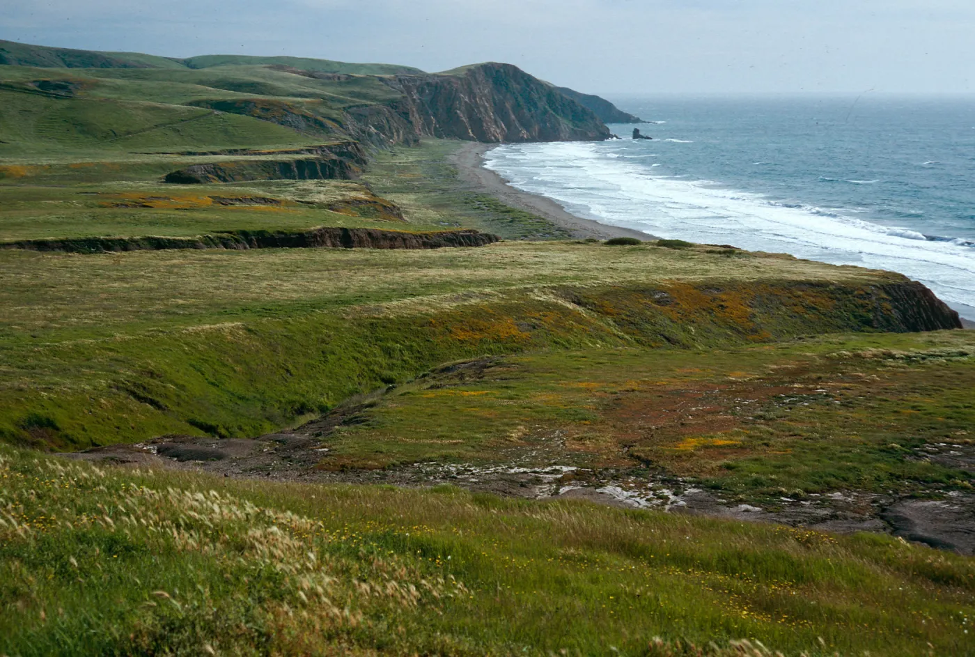 Christy Ranch, Santa Cruz Island
