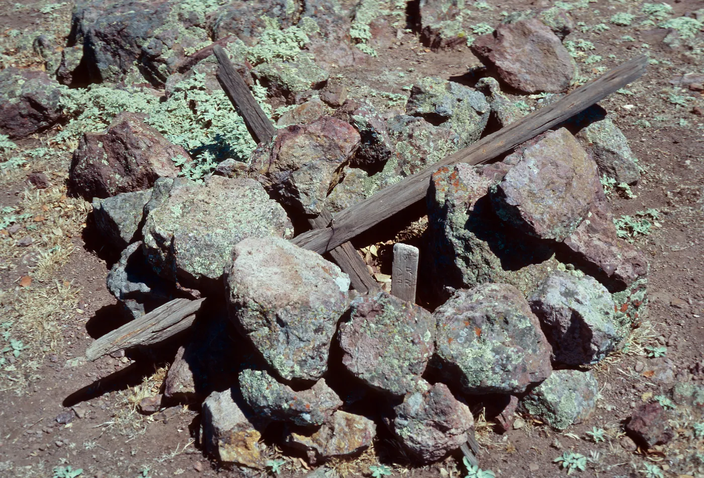 Marker on top of Δ Alta 2 "1975 (?) DR PR" on stick, Santa Cruz Island