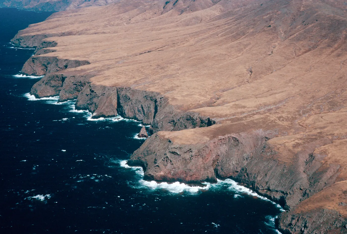 Northwest shore, Santa Cruz Island