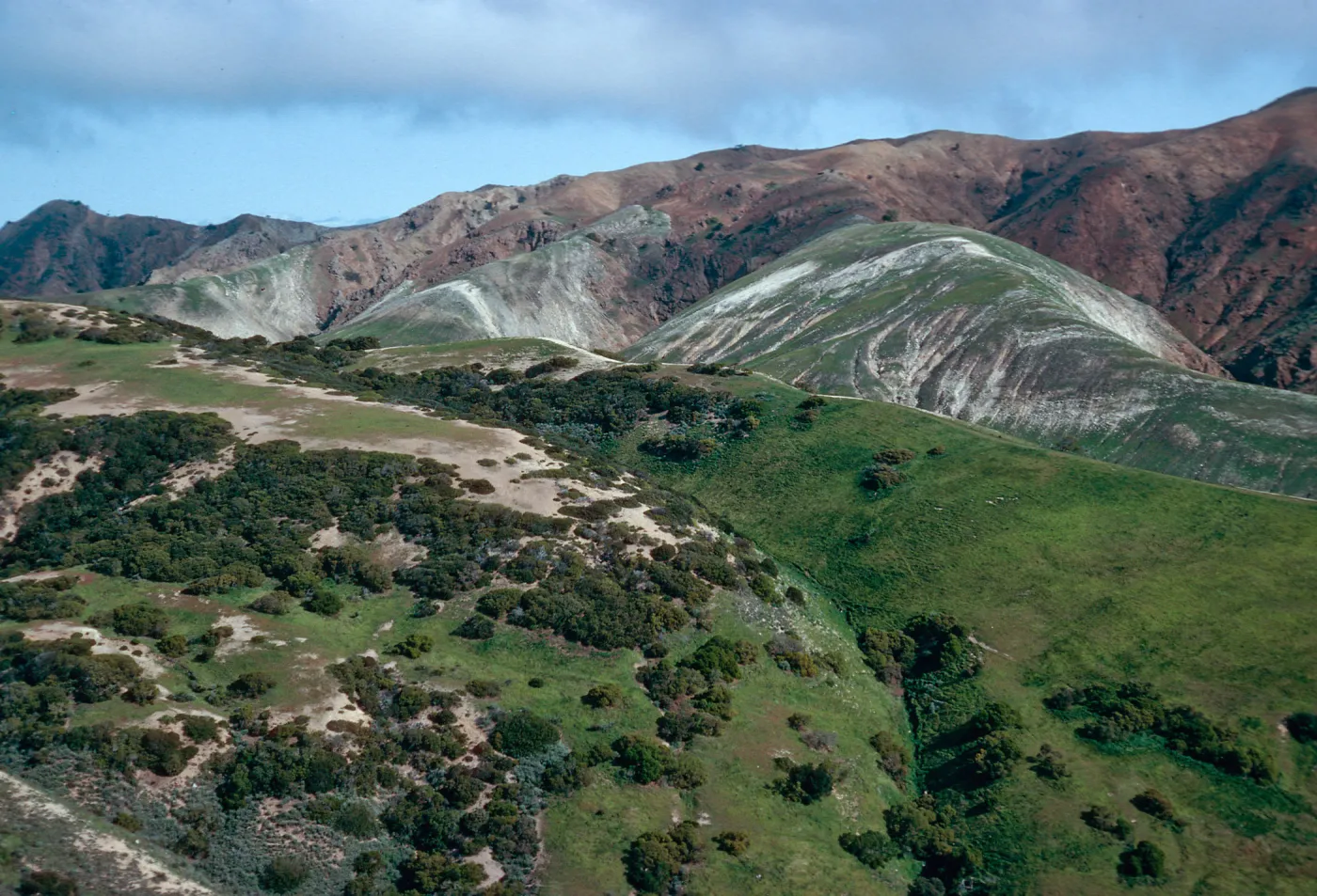 South side, just West of The Nature Conservancy/Gherini boundary, Santa Cruz Island