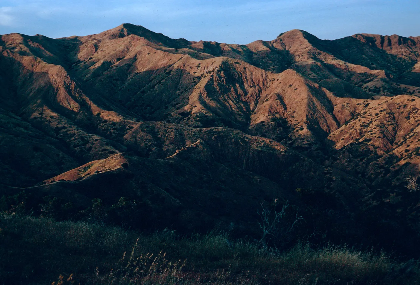 slopes, Southeast of Picacho Diablo, Santa Cruz Island
