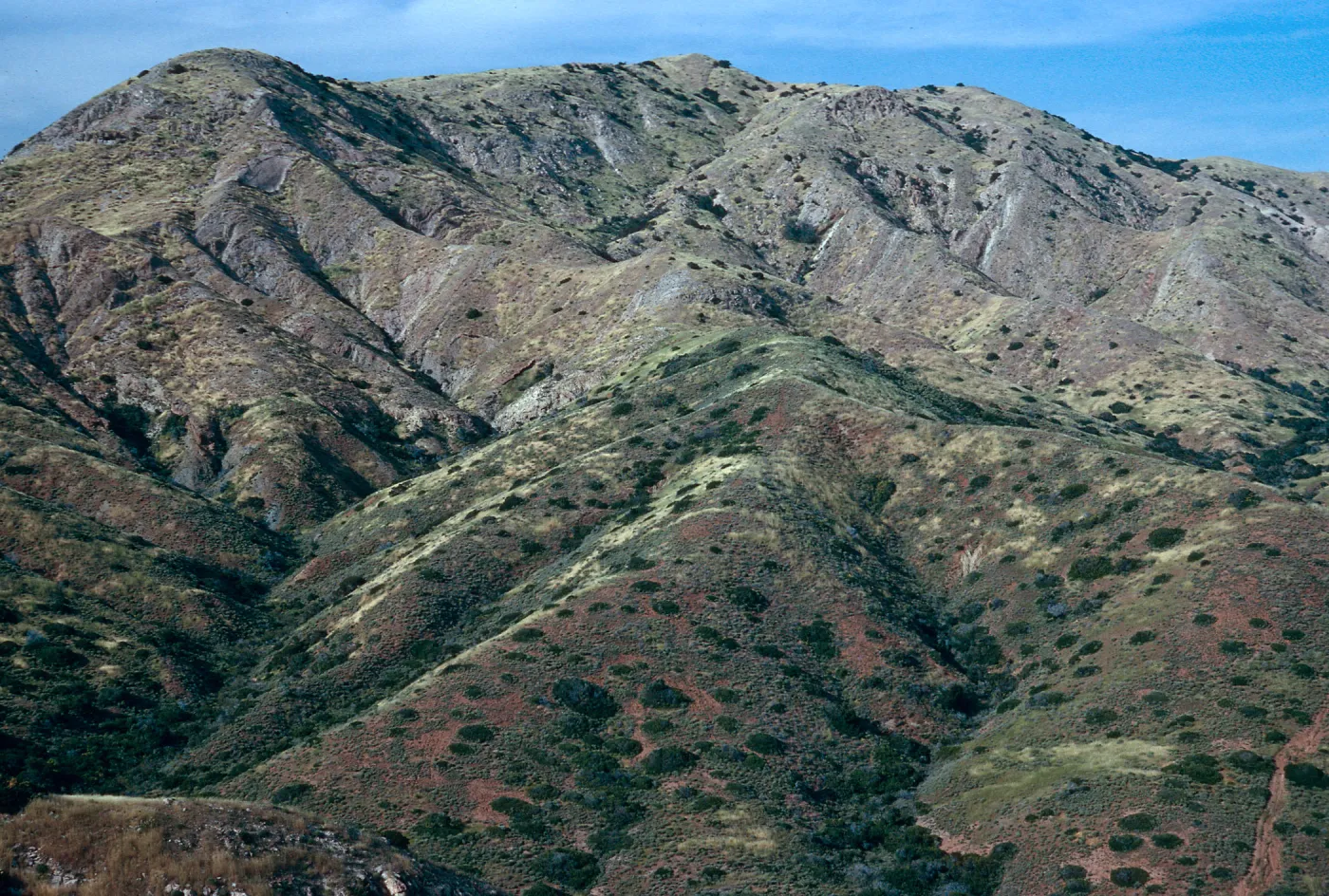 East side of Willows Canyon, Santa Cruz Island