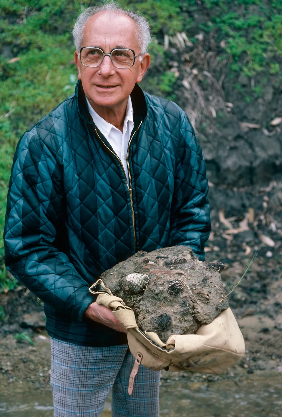 Dan Axelrod with fossil pine cones, CaÃ±ada de Los Sauces, Santa Cruz Island