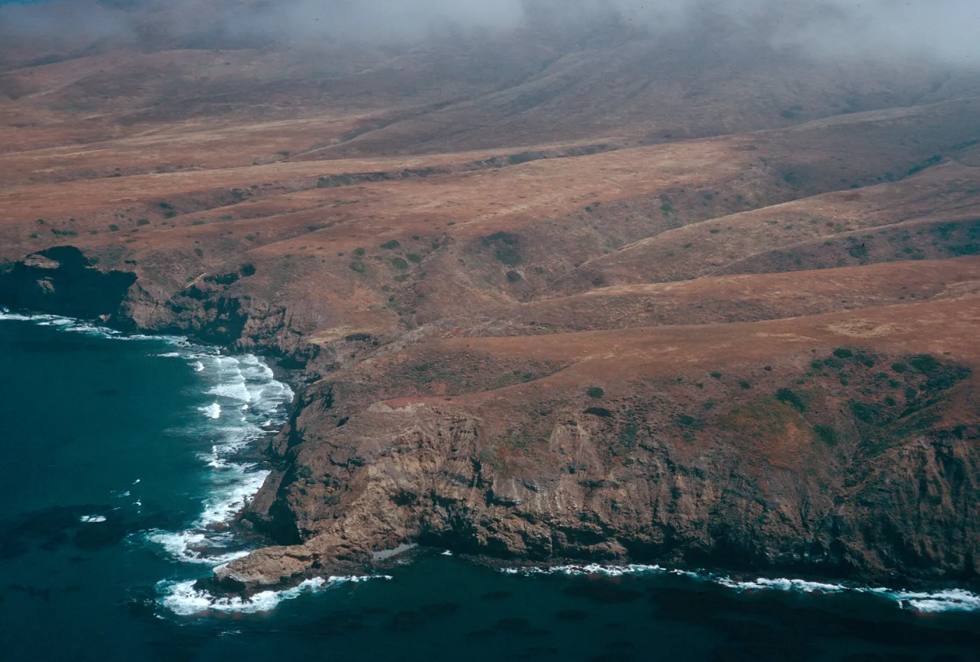 Black Point area, Santa Cruz Island