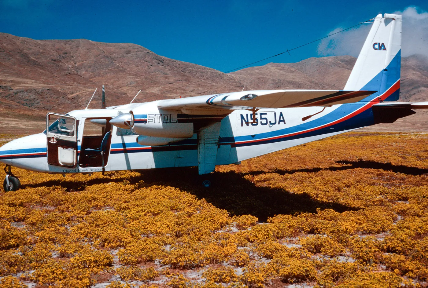 Islander, Forneys Cove, Santa Cruz Island