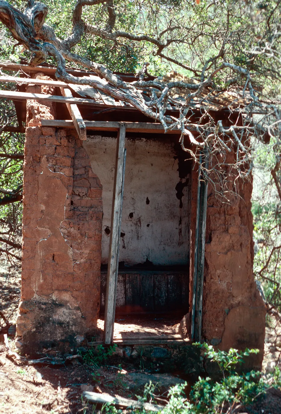 Middle Ranch outhouse ruins, Santa Cruz Island