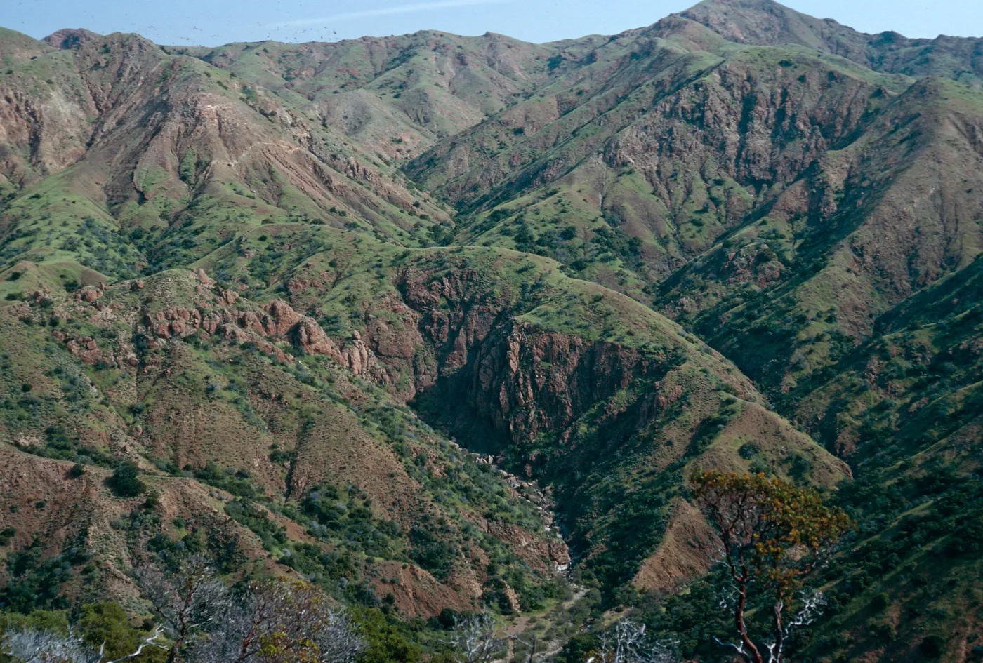 La Cascada Canyon from South ridge, Santa Cruz Island