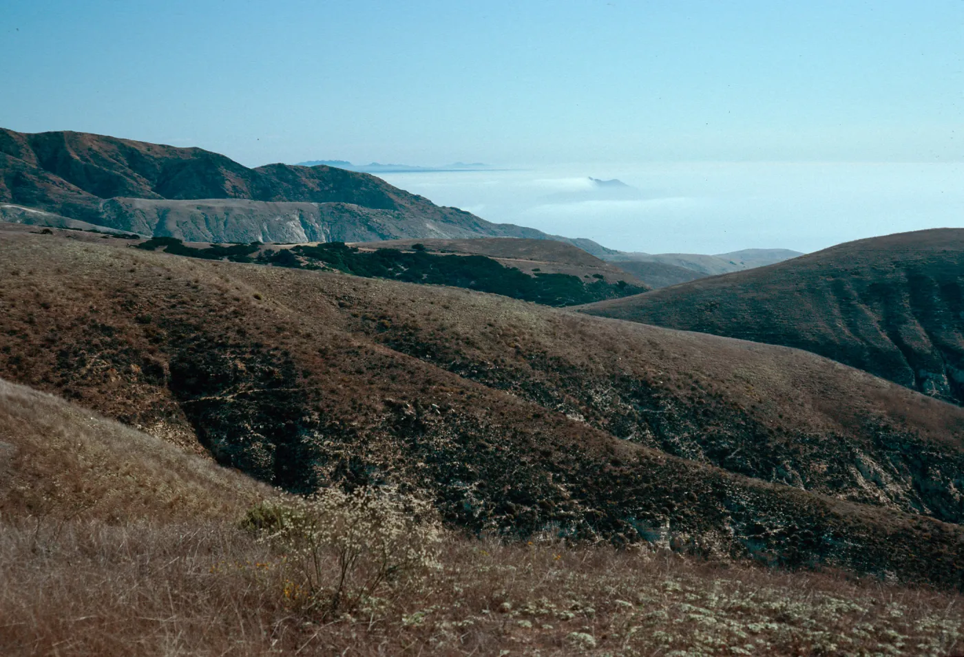 fog near West Anacapa Island, from navy road, Santa Cruz Island