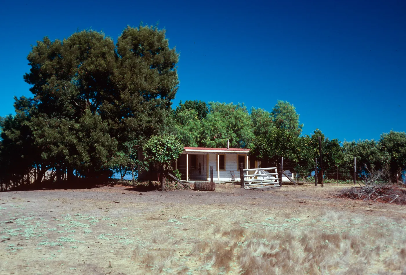 Campo Del Norte, Santa Cruz Island