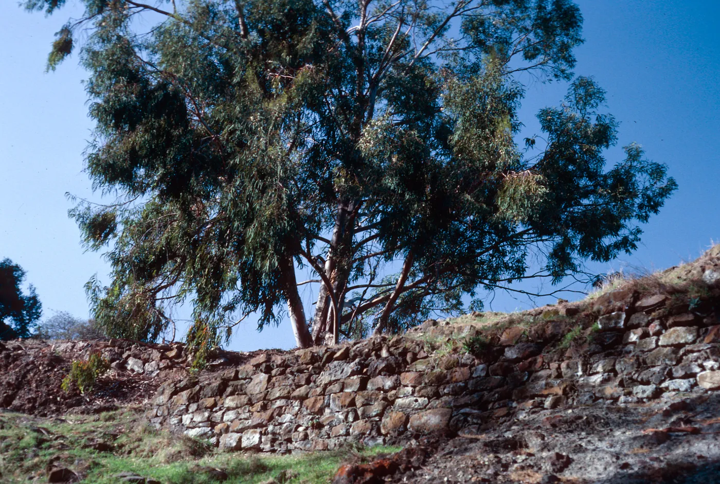 resort ruins, Pelican Bay, Santa Cruz Island