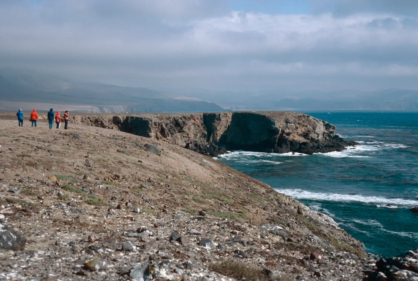 Fraser Point, Santa Cruz Island