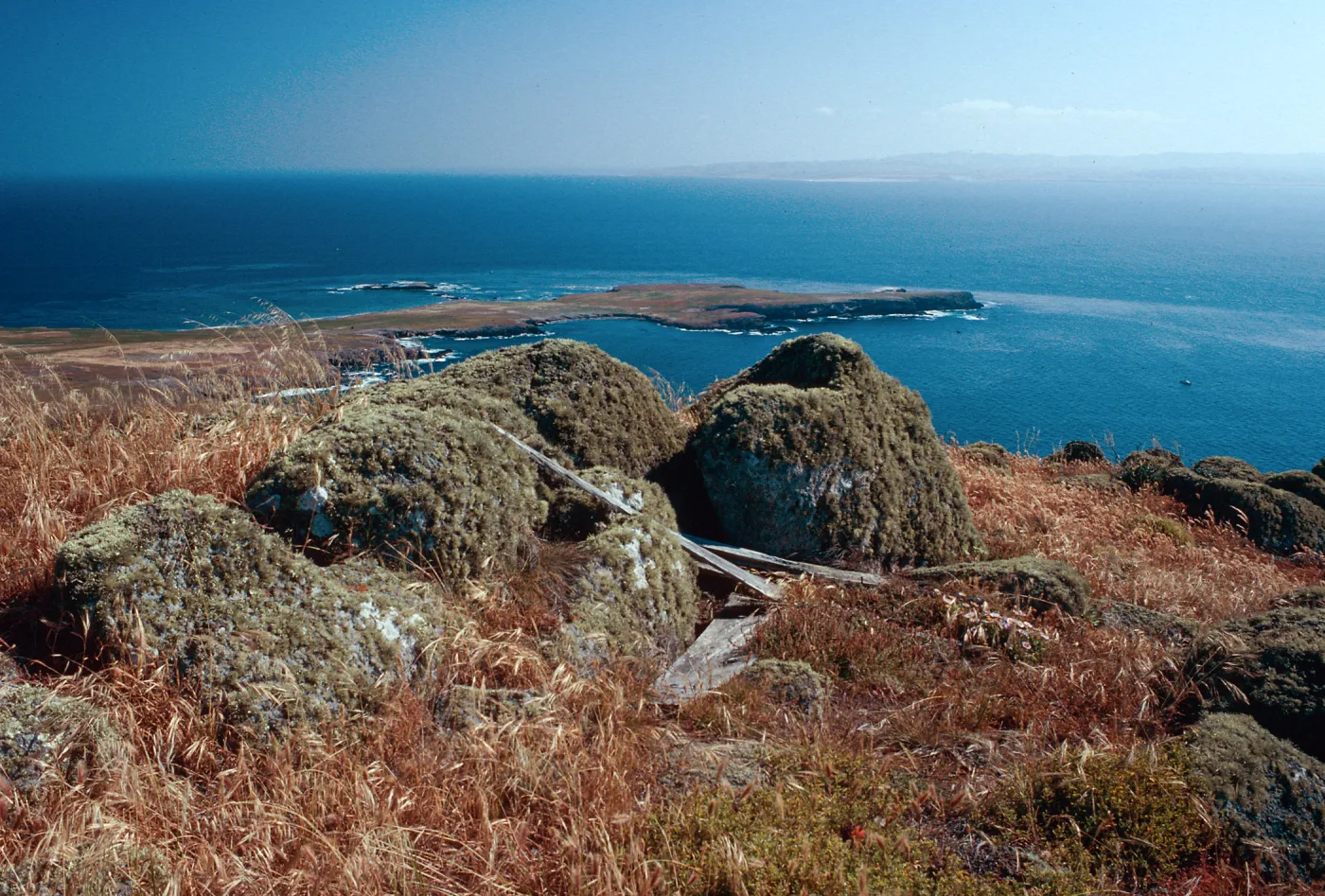 Î” 717 West Point, looking toward Fraser Point, Santa Cruz Island