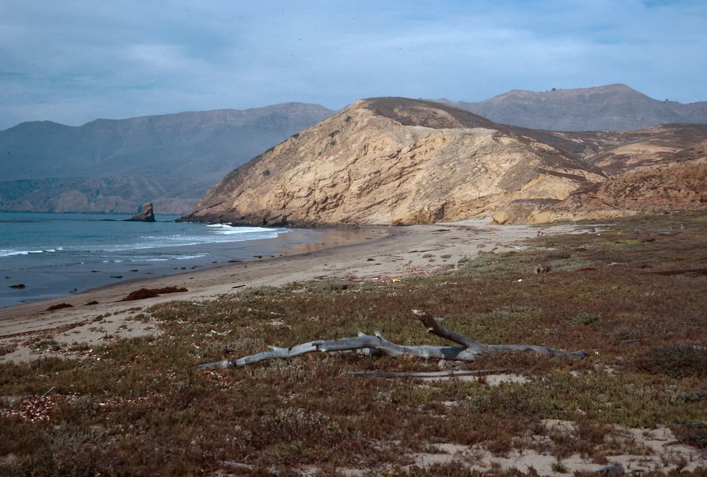 Sauces Beach, Santa Cruz Island