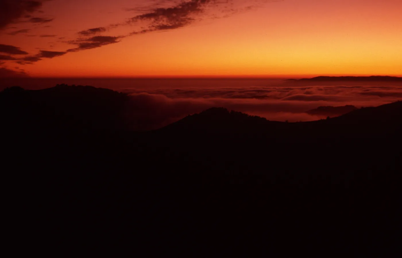 sunset & fog, upper Sauces Canyon, Santa Cruz Island