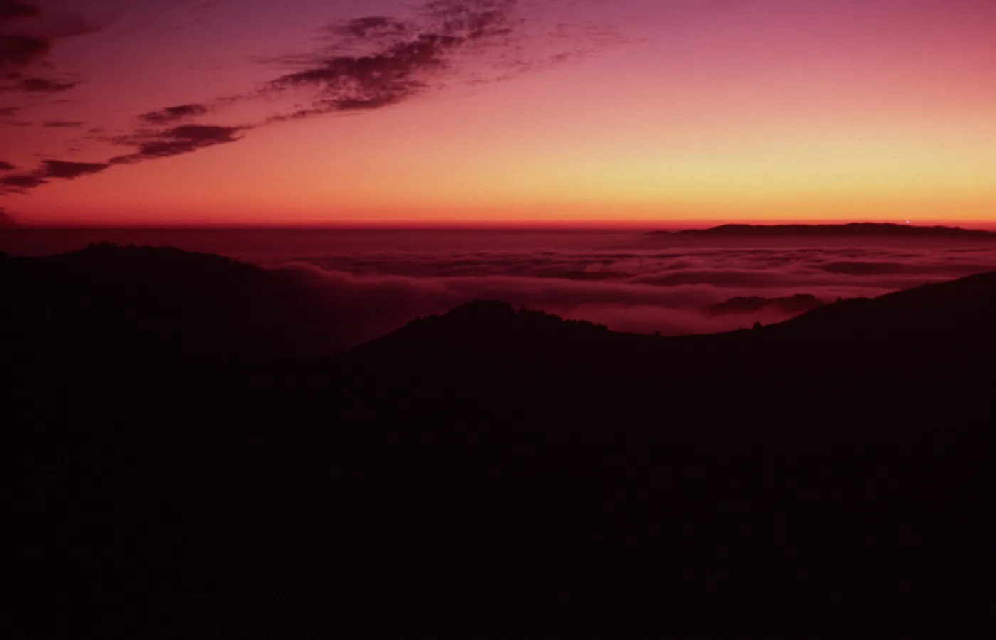 fog at sunset, upper Sauces Canyon, Santa Cruz Island