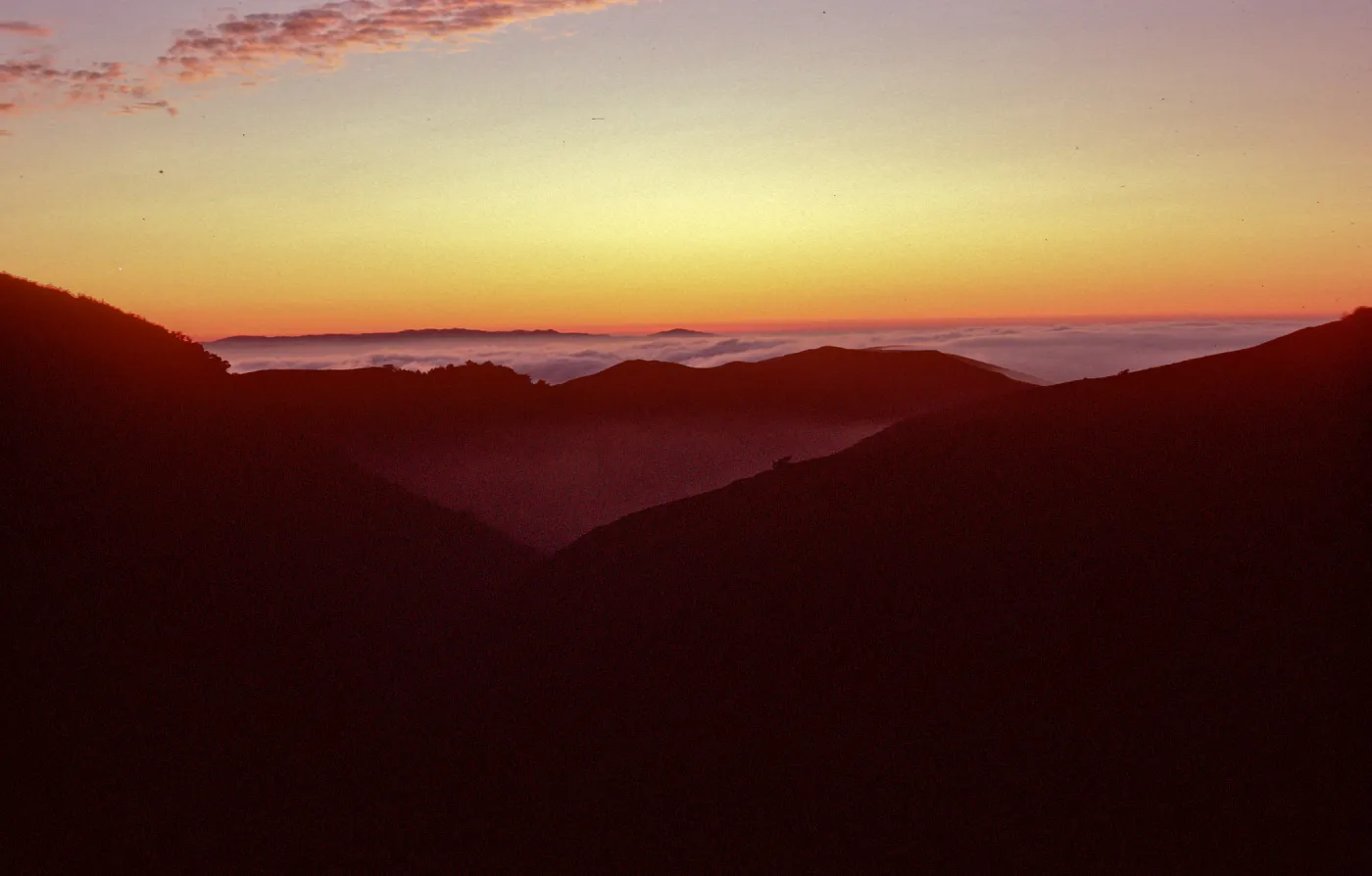 sunset & fog, upper Sauces Canyon, Santa Cruz Island