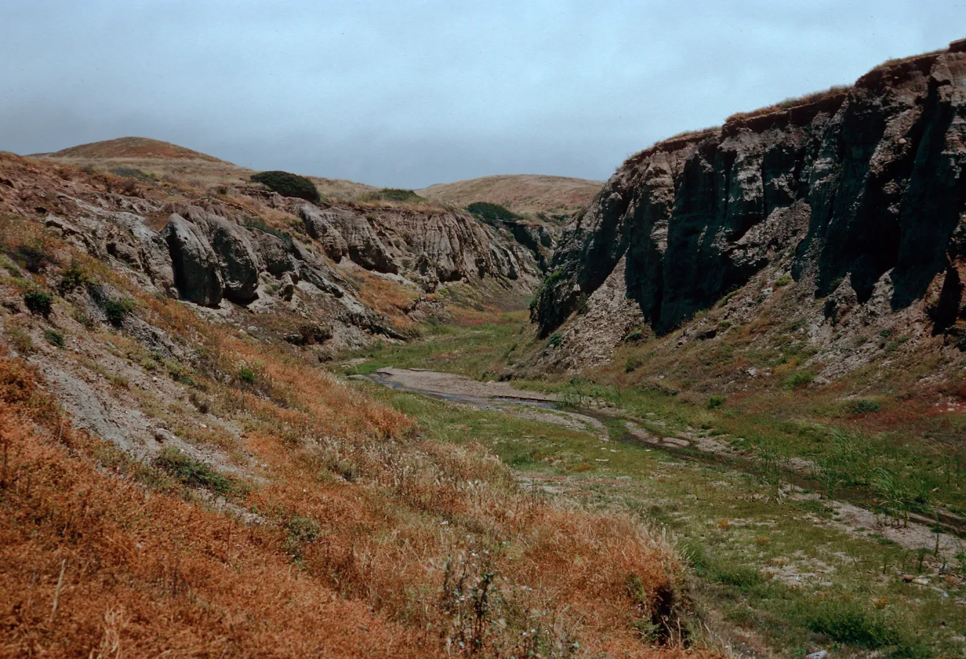 upper sauces Canyon, Santa Cruz Island