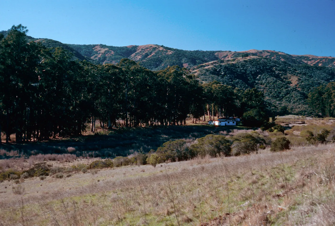 U.C. field station, Santa Cruz Island