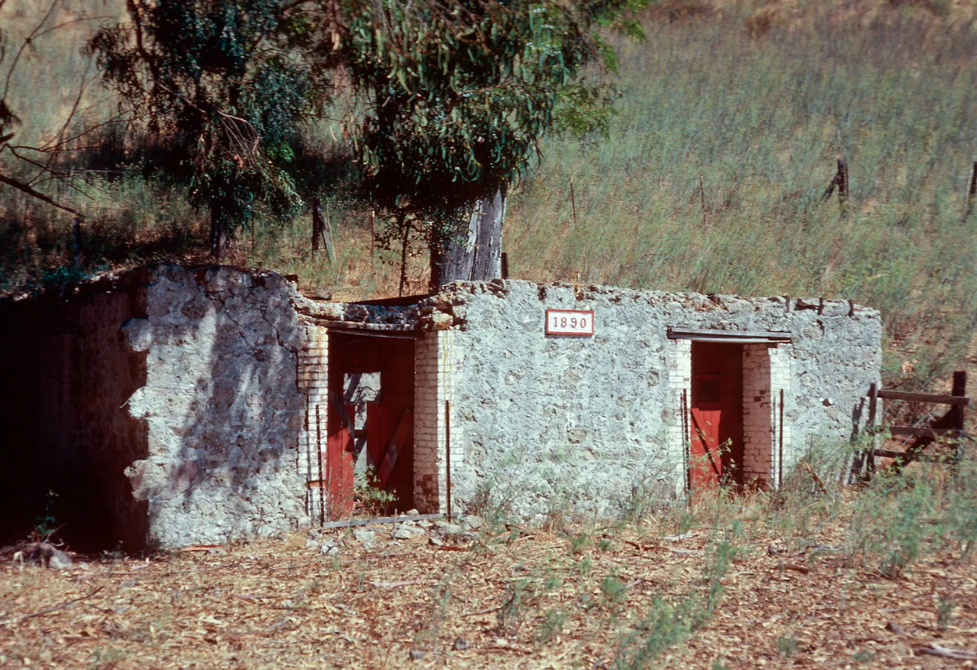 Cantina Vieja (apiary), Stanton Ranch, Santa Cruz Island