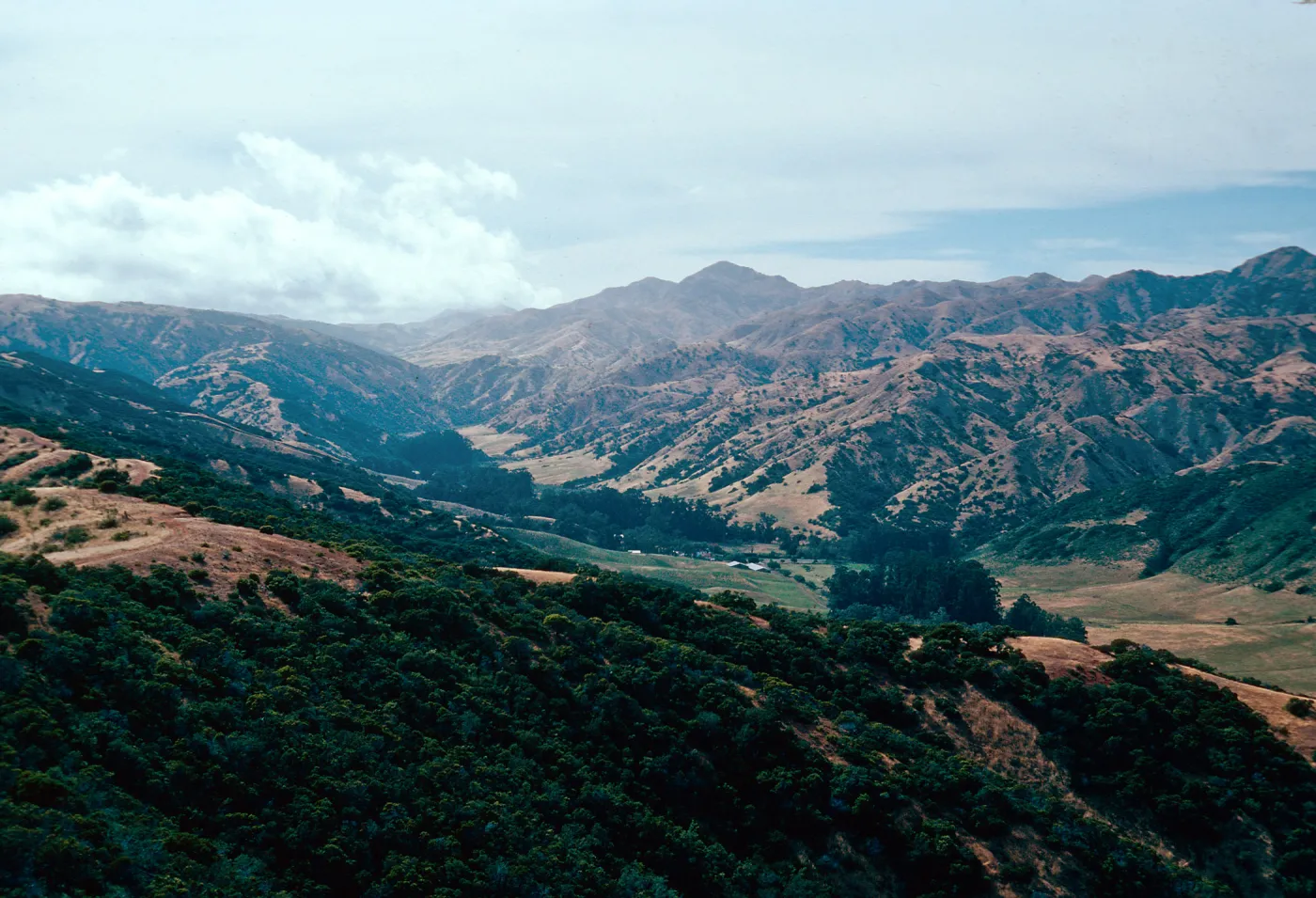 Central Valley & Stanton Ranch from East Ridge Road, Santa Cruz Island